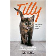 Tilly: The Ugliest Cat