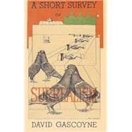 A Short Survey of Surrealism