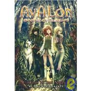 Avalon: Web of Magic Book 1 Circles in the Stream