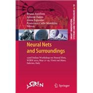 Neural Nets and Surroundings
