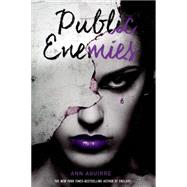 Public Enemies