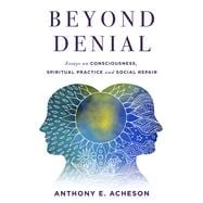 Beyond Denial Essays on Consciousness, Spiritual Practice and Social Repair