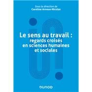 Le sens au travail : regards croisés en sciences humaines et sociales book cover, ISBN 9782100874668
