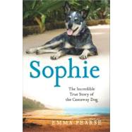 Sophie The Incredible True Story of the Castaway Dog