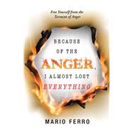 Because of the Anger, I Almost Lost Everything