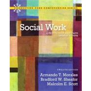 Social Work A Profession of Many Faces (Updated Edition)