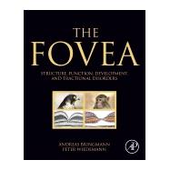 The Fovea