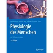 Physiologie Des Menschen