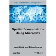 Spatial Econometrics Using Microdata