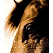 Horses : Photographs
