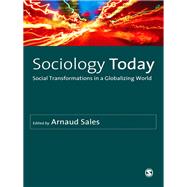 Sociology Today : Social Transformations in a Globalizing World