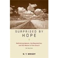Surprised by Hope Participant's Guide