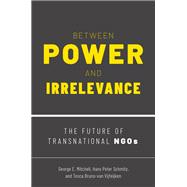 Between Power and Irrelevance The Future of Transnational NGOs