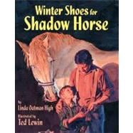 Winter Shoes for Shadow Horse