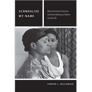 Scandalize My Name Black Feminist Practice and the Making of Black Social Life