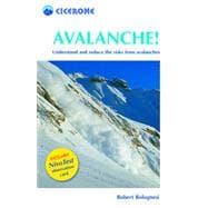 Avalanche! Assess and reduce risks from Avalanches
