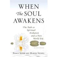 When the Soul Awakens : The Path to Spiritual Evolution and a New World Era