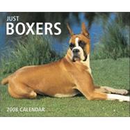 Just Boxers 2008 Calendar