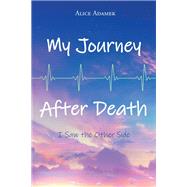 My Journey After Death: I Saw the Other Side