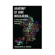 Anatomy of Gene Regulation: A Three-dimensional Structural Analysis