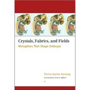 Crystals, Fabrics, and Fields Metaphors That Shape Embryos