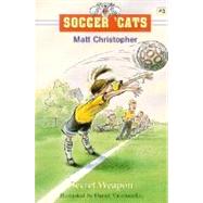 Soccer 'Cats #3