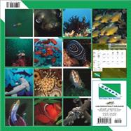Coral Reef 2007 Calendar