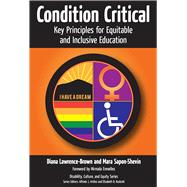 Condition Critical: Key Principles for Equitable and Inclusive Education