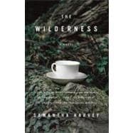 The Wilderness A Novel