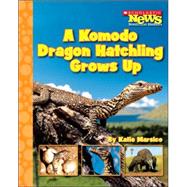 A Komodo Dragon Hatchling Grows Up
