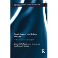Sports Agents and Labour Markets: Evidence from World Football