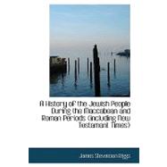 A History of the Jewish People During the Maccabean and Roman Periods (Including New Testament Times)