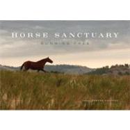 Horse Sanctuary