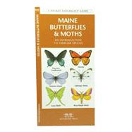 Maine Butterflies & Moths A Folding Pocket Guide to Familiar Species