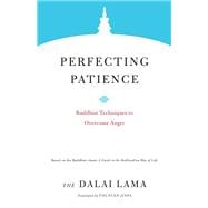 Perfecting Patience Buddhist Techniques to Overcome Anger
