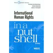 International Human Rights in a Nutshell
