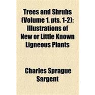 Trees and Shrubs