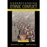 Understanding Ethnic Conflict : The International Dimension