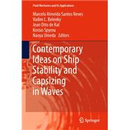 Contemporary Ideas on Ship Stability and Capsizing in Waves