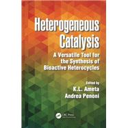 Heterogeneous Catalysis: A Versatile Tool for the Synthesis of Bioactive Heterocycles