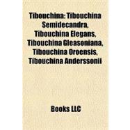 Tibouchin : Tibouchina Semidecandra, Tibouchina Elegans, Tibouchina Gleasoniana, Tibouchina Oroensis, Tibouchina Anderssonii