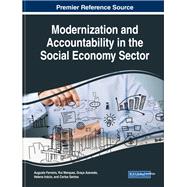 Modernization and Accountability in the Social Economy Sector,9781522584827