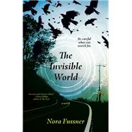 The Invisible World A Novel