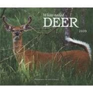 White-tailed Deer 2009 Calendar