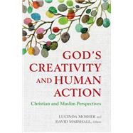 God's Creativity and Human Action