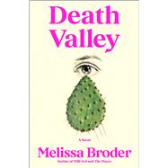 Death Valley A Novel