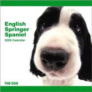 English Springer Spaniel 2009 Calendar