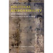 Political Responsibility