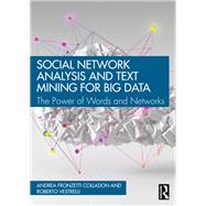 Social Network Analysis and Text Mining for Big Data
