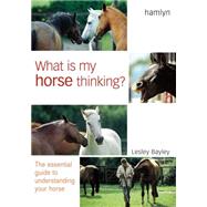 What is My Horse Thinking? The Essential Guide to Understanding Your Horse